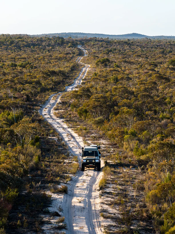 Saber Offroad logo